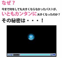 バストアップ石塚04