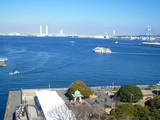 海