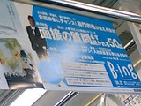 bing