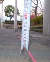 y5