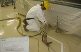 福島県某工場空隙充填工事２