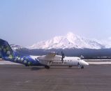 山