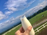 ぎゅうにゅう