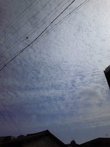 a63882c5.jpg
