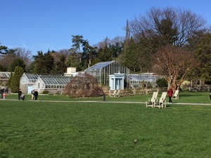 Wave Hill1