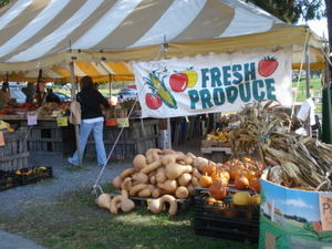 Amish Farmers Market