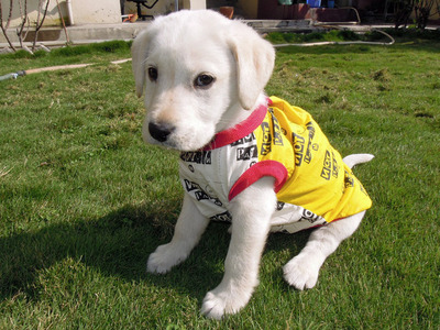 DSCN1113