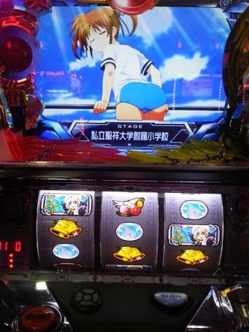 写真.jpeg