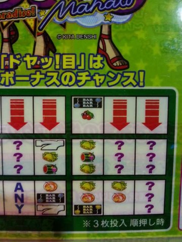 写真.jpeg