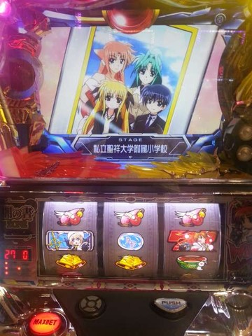 写真.jpeg