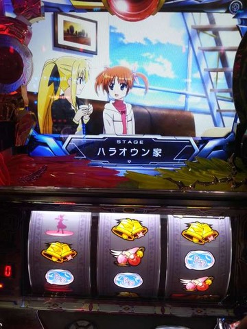 写真.jpeg