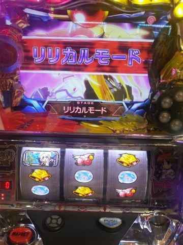 写真.jpeg