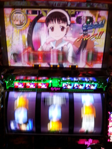 写真.jpeg