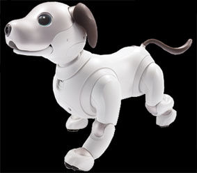 aibo