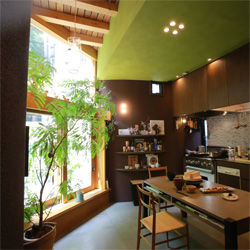 iijima03