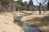 河西さんの庭1