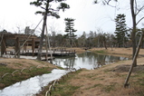 河西さんの庭2