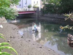魚調査