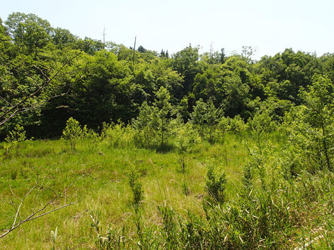 P5200046