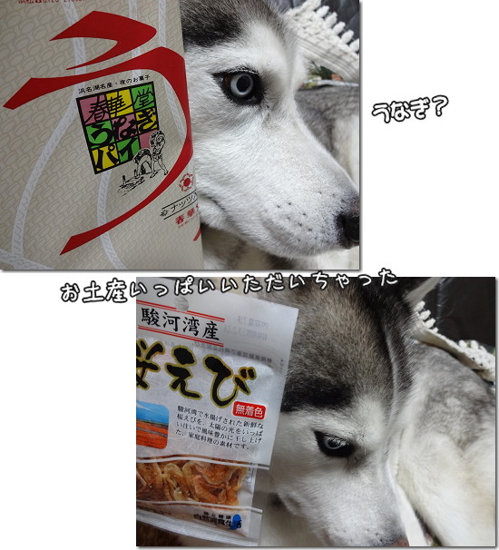 お土産