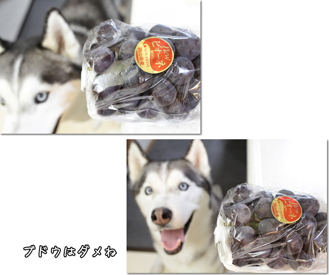 ウ〜吉