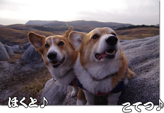 ほくと・こてつ