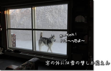 ウ〜吉