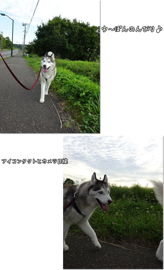 ウ〜吉