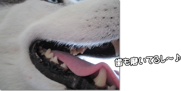ウ~吉