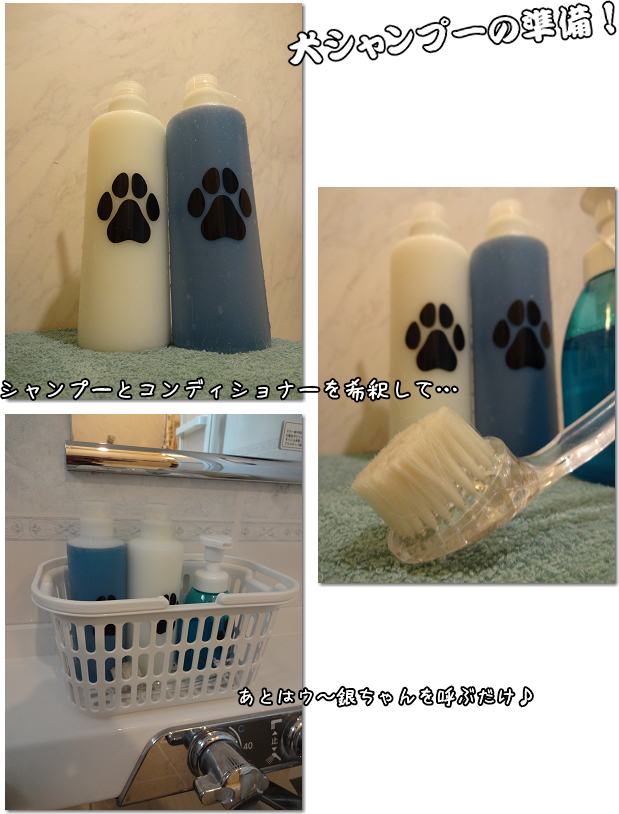 シャンプーセット