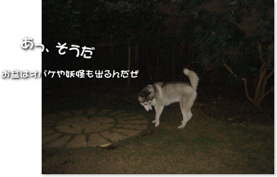 あっ、そうだ