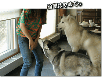 股間はやめてっ