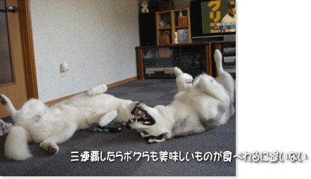 三連覇したら…