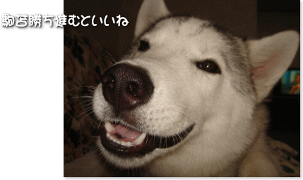 勝ち進むといいね