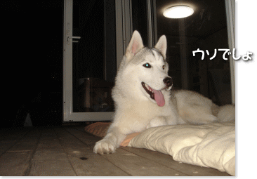 ウソでしょ