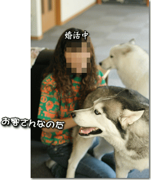 お客さんなのだ
