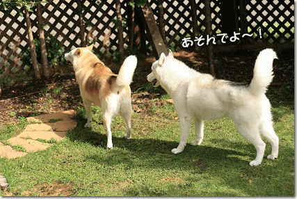 あそんでよ〜