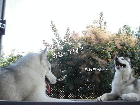 お盆って何?