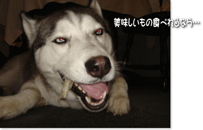 美味しいもの食べれるなら