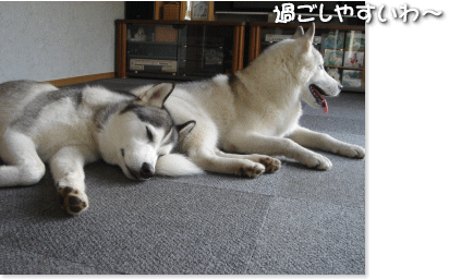 過ごしやすいわ