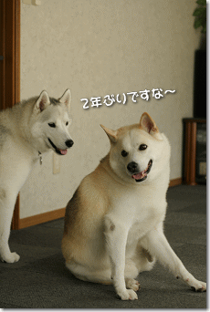 2年ぶりですな