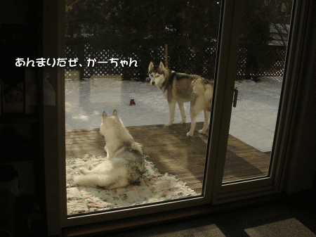 あんまりだぜ