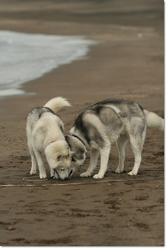 Bros.