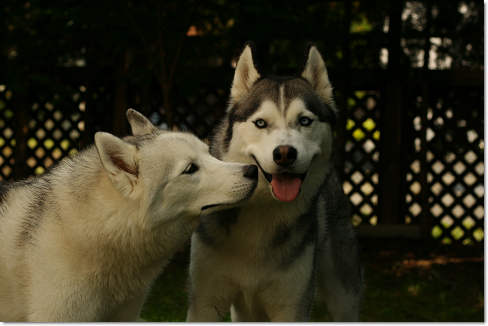 Bros.