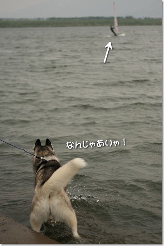 �ʤ󤸤㤢���