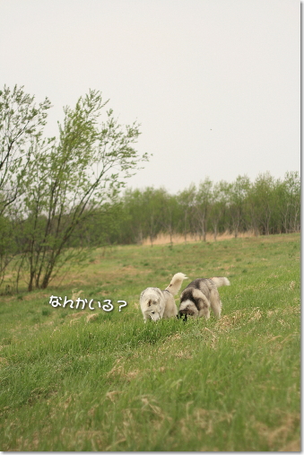 �ʤ󤫤��롩
