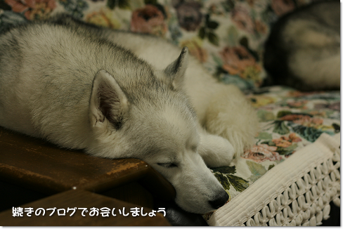 続きのブログでお会いしましょう