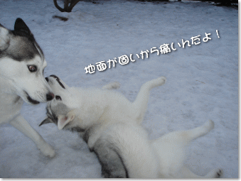 地面が固いから痛いんだよ