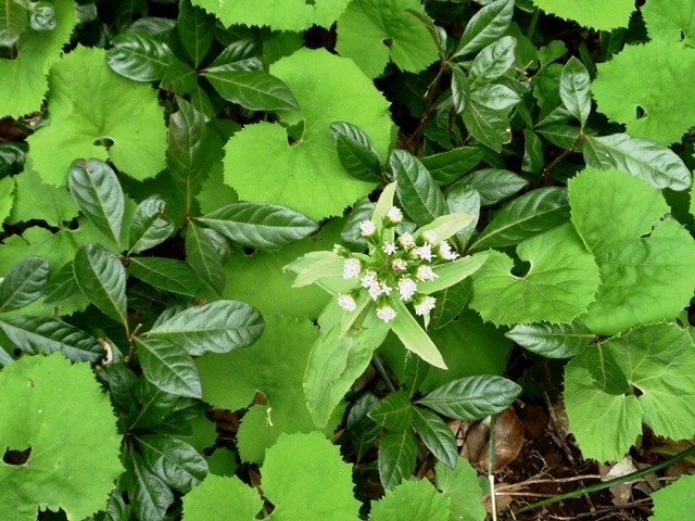 P1070773