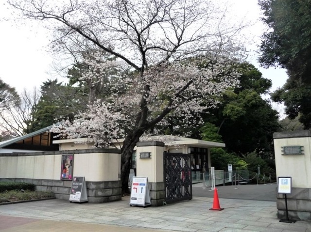 P1070818